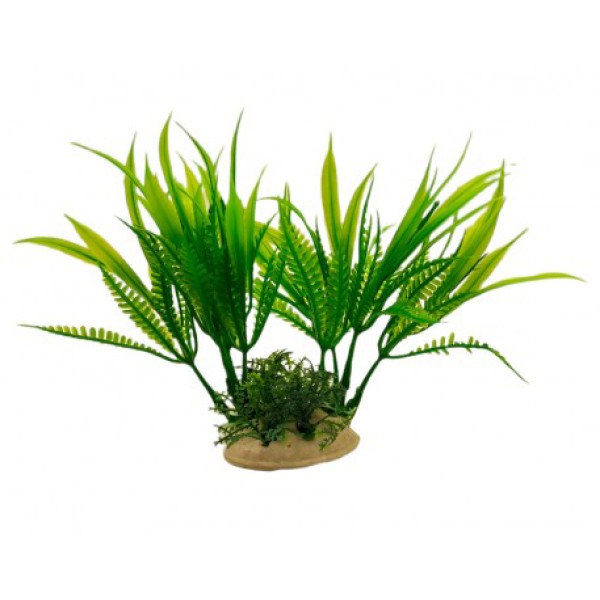 ΔΙΑΚΟΣΜΗΤΙΚΟ ΦΥΤΟ ΕΝΥΔΡΕΙΟΥ 14.5CM